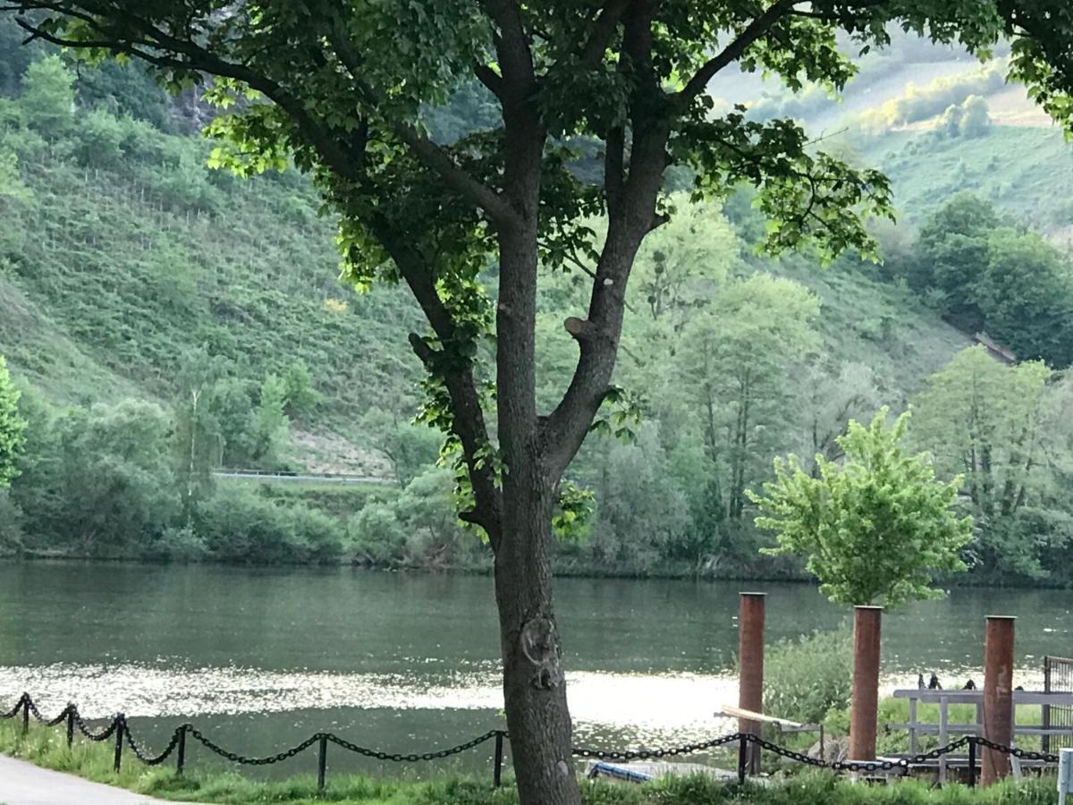 Gaestezimmer Klein Und Fein Fuer Nach Dem Wein Neumagen-Dhron Bagian luar foto
